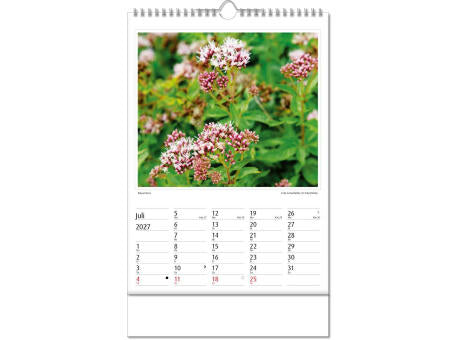 Kalender "Botanica" im Format 24 x 38,5 cm, mit Wire-O Bindung und verlängerter Rückwand