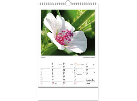 Kalender "Botanica" im Format 24 x 38,5 cm, mit Wire-O Bindung und verlängerter Rückwand