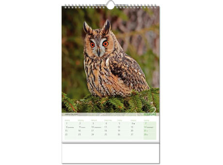 Kalender "Blick ins Tierreich" im Format 24 x 38,5 cm, mit Wire-O Bindung und verlängerter Rückwand