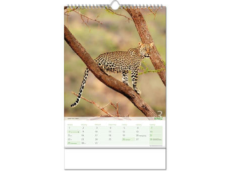 Kalender "Blick ins Tierreich" im Format 24 x 38,5 cm, mit Wire-O Bindung und verlängerter Rückwand