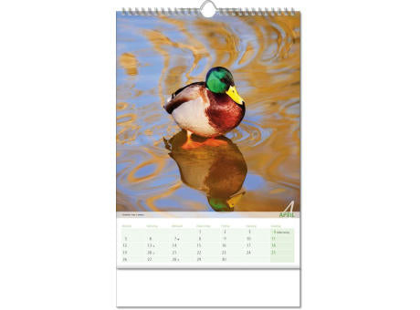 Kalender "Blick ins Tierreich" im Format 24 x 38,5 cm, mit Wire-O Bindung und verlängerter Rückwand