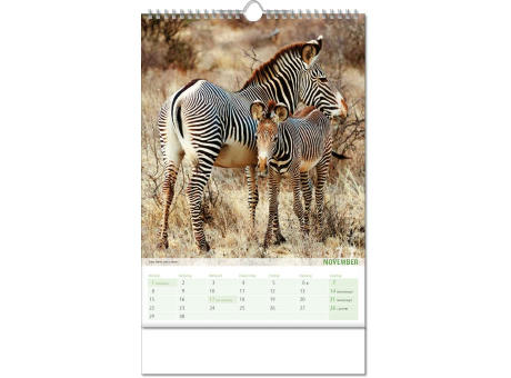 Kalender "Blick ins Tierreich" im Format 24 x 38,5 cm, mit Wire-O Bindung und verlängerter Rückwand