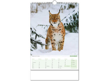 Kalender "Blick ins Tierreich" im Format 24 x 38,5 cm, mit Wire-O Bindung und verlängerter Rückwand