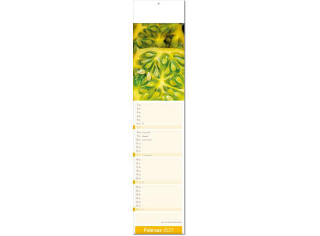 Kalender "Fresh" im Format 11 x 50 cm, mit Fälzel