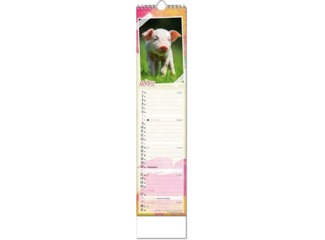 Kalender "Tierbabys" im Format 11 x 51 cm, mit Wire-O-Bindung und verlängerter Rückwand