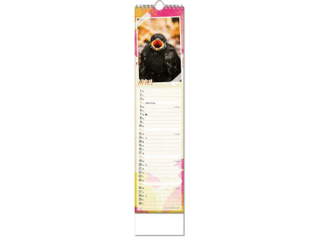 Kalender "Tierbabys" im Format 11 x 51 cm, mit Wire-O-Bindung und verlängerter Rückwand