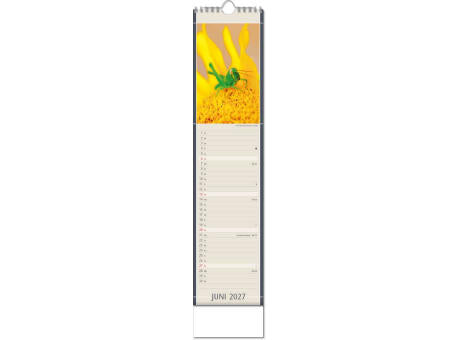 Kalender "Fundstücke der Natur" im Format 11 x 51 cm, mit Wire-O-Bindung und verlängerter Rückwand