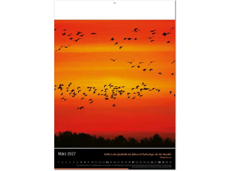 Kalender "Emotion" im Format 30,5 x 42,6 cm, mit Fälzel