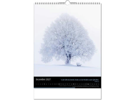 Kalender "Emotion" im Format 30,5 x 43,6 cm, mit Wire-O-Bindung und verlängerter Rückwand