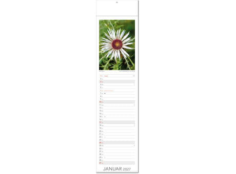 Kalender "Tee & Heiltees" im Format 13 x 53,5 cm, mit Fälzel