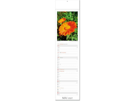 Kalender "Tee & Heiltees" im Format 13 x 53,5 cm, mit Fälzel