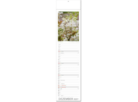 Kalender "Tee & Heiltees" im Format 13 x 53,5 cm, mit Fälzel