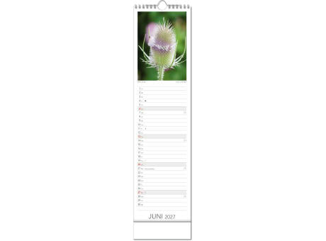 Kalender "Tee & Heiltees" im Format 13 x 52,5 cm, mit Wire-O Bindung und verlängerter Rückwand