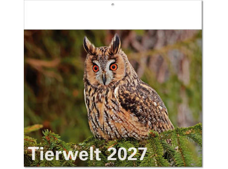 Kalender "Tierwelt" im Format 30 x 28 cm, mit Fälzel