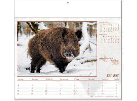 Kalender "Tierwelt" im Format 30 x 28 cm, mit Fälzel