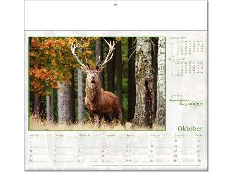 Kalender "Tierwelt" im Format 30 x 28 cm, mit Fälzel