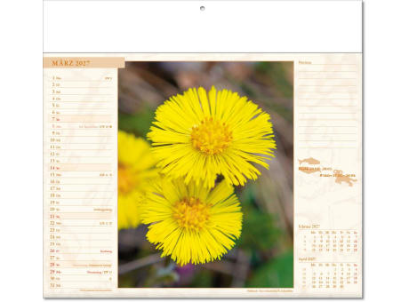 Kalender "Blütenwelt" im Format 30 x 28 cm, mit Fälzel