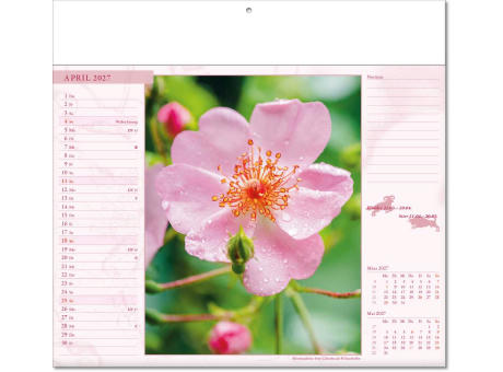 Kalender "Blütenwelt" im Format 30 x 28 cm, mit Fälzel