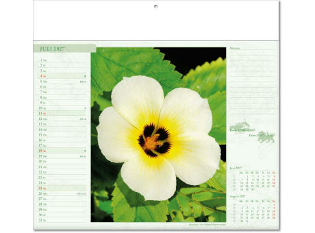 Kalender "Blütenwelt" im Format 30 x 28 cm, mit Fälzel