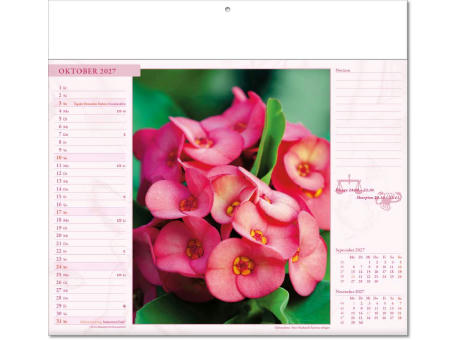 Kalender "Blütenwelt" im Format 30 x 28 cm, mit Fälzel