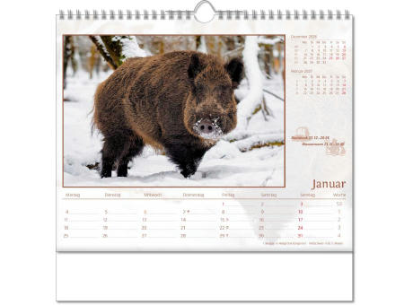 Kalender "Tierwelt" im Format 30 x 29 cm, mit Wire-O-Bindung und verlängerter Rückwand