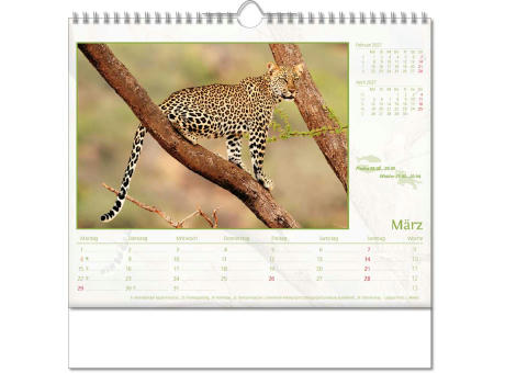 Kalender "Tierwelt" im Format 30 x 29 cm, mit Wire-O-Bindung und verlängerter Rückwand