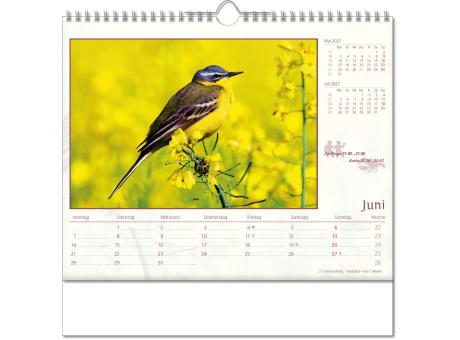 Kalender "Tierwelt" im Format 30 x 29 cm, mit Wire-O-Bindung und verlängerter Rückwand