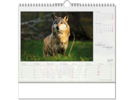 Kalender "Tierwelt" im Format 30 x 29 cm, mit Wire-O-Bindung und verlängerter Rückwand