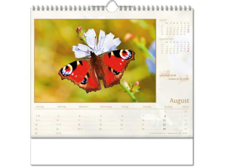 Kalender "Tierwelt" im Format 30 x 29 cm, mit Wire-O-Bindung und verlängerter Rückwand