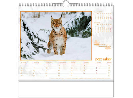Kalender "Tierwelt" im Format 30 x 29 cm, mit Wire-O-Bindung und verlängerter Rückwand