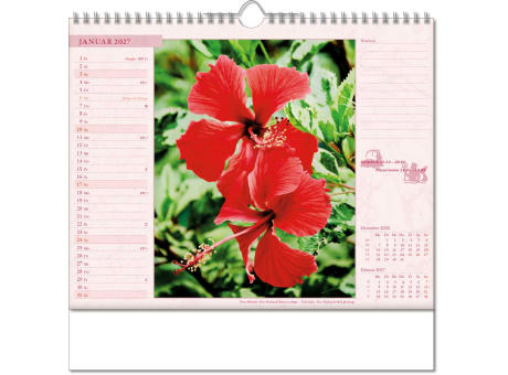Kalender "Blütenwelt" im Format 30 x 29 cm, mit Wire-O-Bindung und verlängerter Rückwand