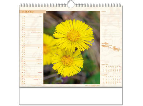 Kalender "Blütenwelt" im Format 30 x 29 cm, mit Wire-O-Bindung und verlängerter Rückwand