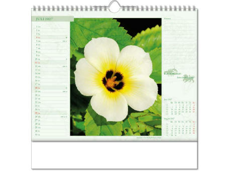 Kalender "Blütenwelt" im Format 30 x 29 cm, mit Wire-O-Bindung und verlängerter Rückwand
