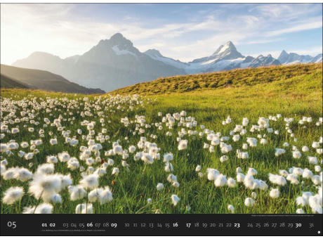AvH Landscapes Edition
