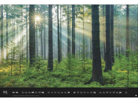 AvH Deutschlands Naturparadiese