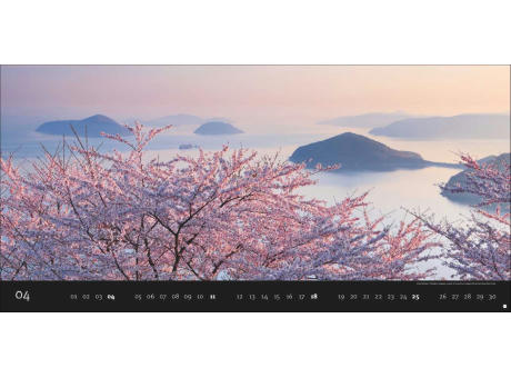 Magic Moments Panorama