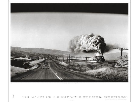 Magnum Photos - Elliott Erwitt