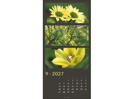 Die Farben der Natur