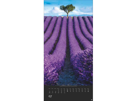 AvH Colourful Nature