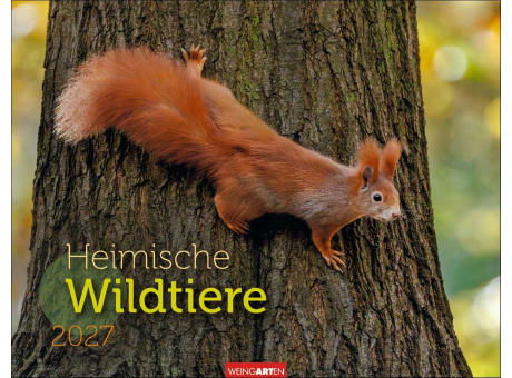 Heimische Wildtiere