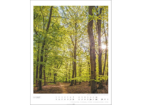 Heimische Wälder