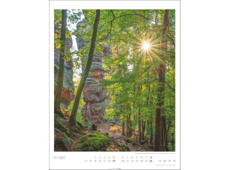 Heimische Wälder