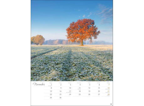 Jenseits der Hast Posterkalender
