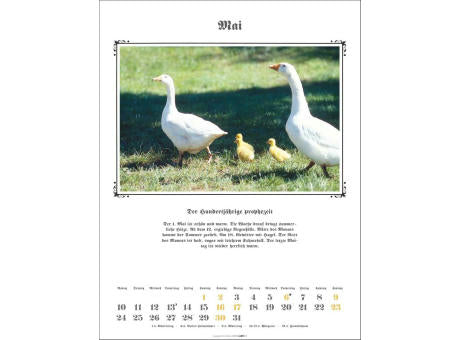 Der Hundertjährige Kalender