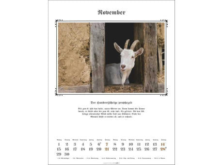 Der Hundertjährige Kalender