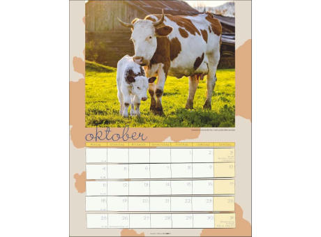 Kuh Kalender