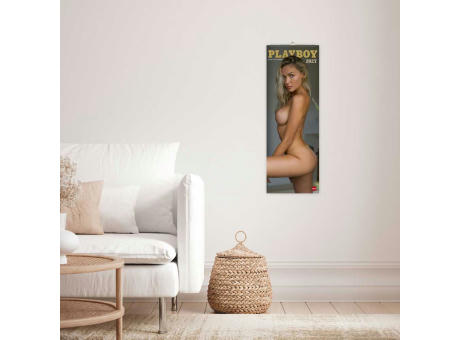 Playboy Vertical