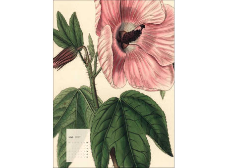 Botanicals