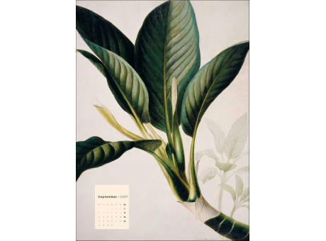 Botanicals