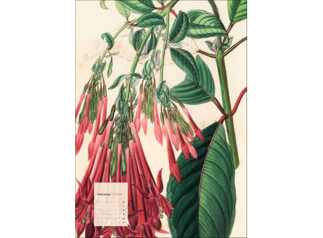 Botanicals